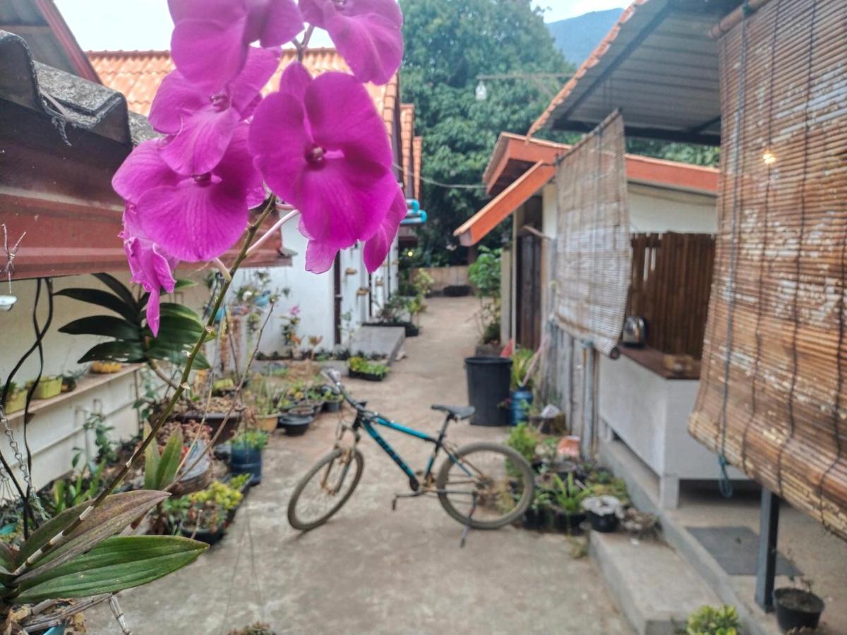 Pdv Guesthouse Muang Ngoi 외부 사진